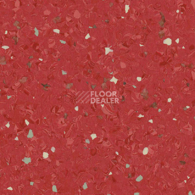 Линолеум Tarkett iq Eminent RED 0152 фото 1 | FLOORDEALER